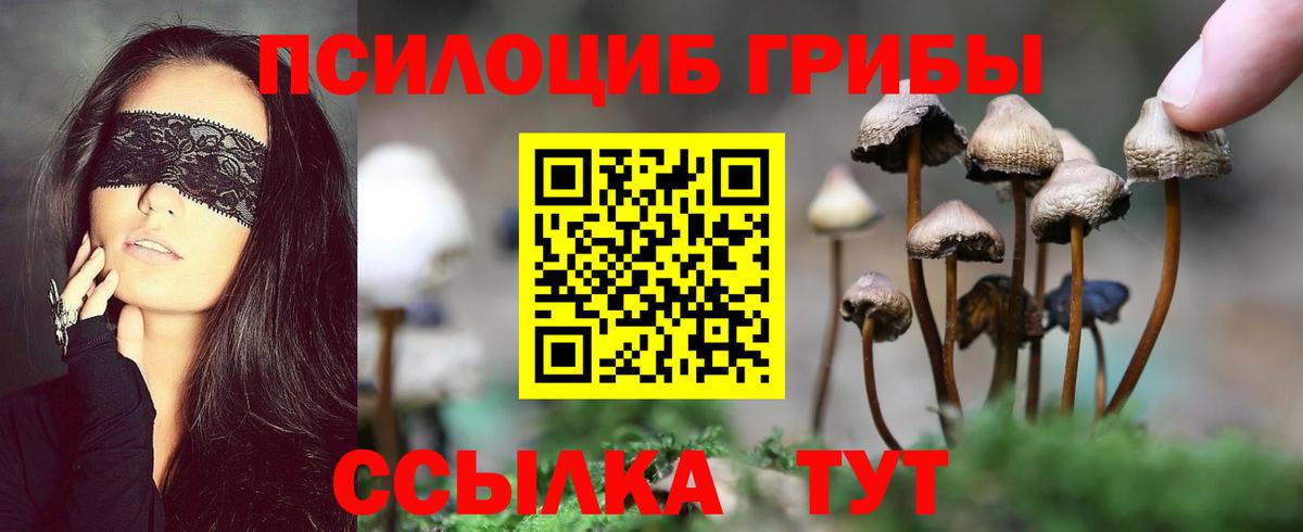 Псилоцибиновые грибы Psilocybine cubensis Рыбинск