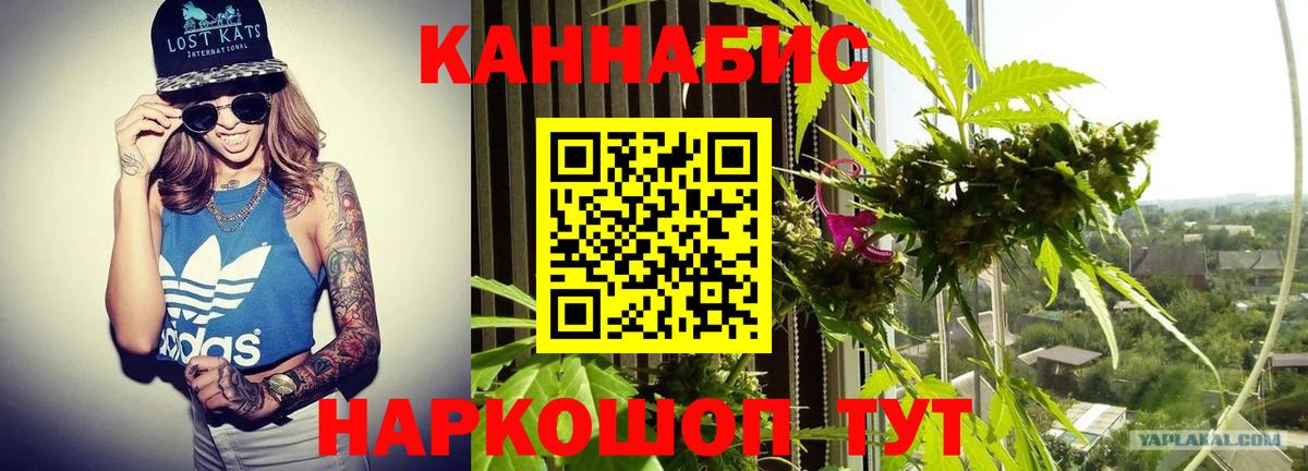 Канабис планчик  Каннабис сатива  Вход с VPN  Канабис White Widow  Бошки Шишки тримм  Рыбинск 